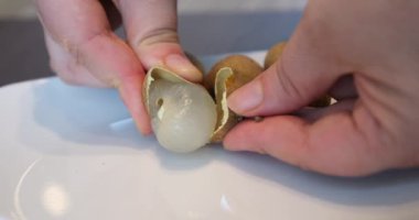 Longan meyvesini soyan kişi. Bir şeker. Güneydoğu Asya 'da tropik lezzetler. Bir beyazı teslim ederek. seramik tabak. 4k görüntü 
