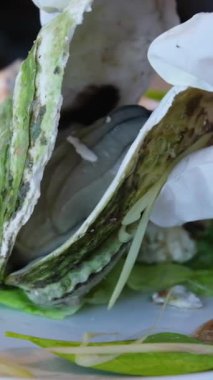 Claire Oyster 'ın beyaz arka planda kaynamış istiridyeleri. Kadın taze bir istiridyeyi bıçakla açıyor. Ellerinizi koruyucu eldivenlere koyun. Tanımlanamayan fotoğraf. Üst görünüm. Boşluğu kopyala.
