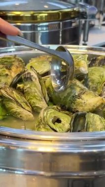 Farklı balık türlerinden aperatiflerle süslenmiş güzel bir ziyafet masası, soslar ve istiridye kabuklu havyar. Restoran büfesi haşlanmış istiridye.