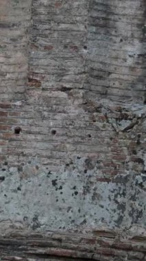 Arnavutluk 'taki Butrint veya Butrinto Ulusal Parkı' ndaki arkeolojik kalıntıları ziyaret eden bir turist. 