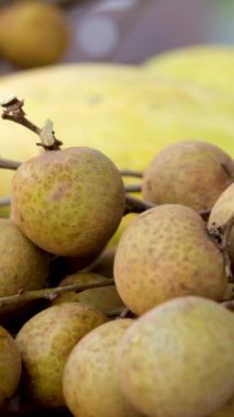 Longan meyve dalı masada nefis tropikal meyve ve beyaz pitahaya. Beyaz ejderha meyvesi