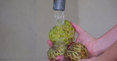 Annona meyvesi, elma şekeri, elma şekeri, kremalı elma, yavaş çekim. Kremalı elma. Suyun altında meyve yıka.