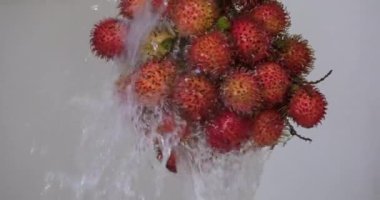Bir lavabo dolusu canlı Rambutan 'ın üzerinde çağlayarak akan su, bu egzotik meyvelerin çamaşır yıkama sürecini gözler önüne seriyor, Rambutan meyvelerini, Wash Rambutan' ı. Suyun altında meyve yıka.