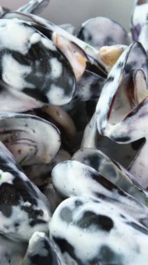 Midye ve istiridye pişirme süreci. Geleneksel deniz ürünlü makarna malzemeleri. Mutfakta kova pişiriyorum. Kızartma tavası ve haşlanmış midye. Modern mutfak mutfak aletleri. Sağlıklı yemek..