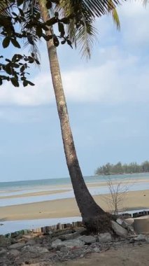Güzel doğası olan güzel bir plaj, plastik şişe, çanta, kağıt çöplüğü. Çevre kirliliği. Tatilciler piknik çöplerini denize attılar. Ekoloji, insanlığın tehlikesi