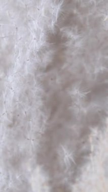 Donmuş gölde rüzgarda savrulan otlar. Doğal arka plan. Soğuk hava ve karamsar atmosfer. Kurutulmuş sazlık otu