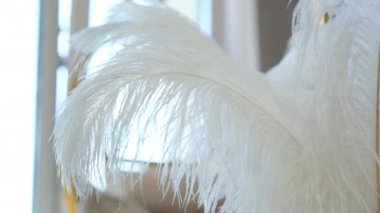 Büyük beyaz bir kuş, rüzgarda sallanır siyah bir arka planda, yakın planda. Beyaz tüy dekoru