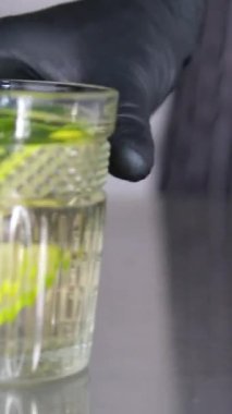 Naneli ve limonlu bir içki hazırla. Limonata, yaz içeceği, soğuk içecek, sağlıklı sıvı Mojito kokteyli. Bir bardak alkollü kokteyl, rom, limon, nane, kırık buz.