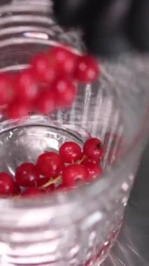 Limonata yapmak, yaz içkisi, soğuk içecek, sağlıklı sıvı. Frenk üzümlü limonata ve yaz mevsiminde salatalık taze içecek vitaminleri.