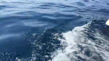 Korfu, Paleokastritsa sahillerinin Amazon sahilleri Korfu adası, Yunanistan Korfu adası 