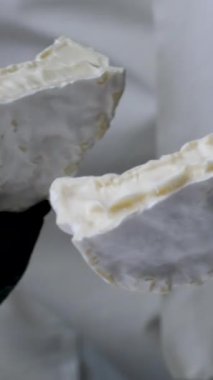 Camembert peyniri. Yumuşak peynir, Fransız peyniri ya da krema, makro shot.