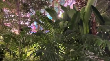 Dünyanın en büyük havalimanlarından biri seçici odaklı Hamad Uluslararası Havalimanı. Doha Hamad Katar Havayolları Katarı. Doha Havaalanı