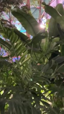 Dünyanın en büyük havalimanlarından biri seçici odaklı Hamad Uluslararası Havalimanı. Doha Hamad Katar Havayolları Katarı. Doha Havaalanı