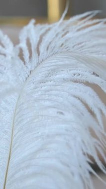 Beyaz tüy dekoru. Gümüş vazo fotoğraf alanını süslüyor ve rüzgarda sallanıyor. Dekor elementi. Yumuşak yumuşaklardan yapılmış hafif hava tüyü.