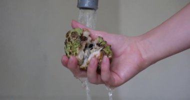 Suyun altında meyve yıka. Bir elma şekeri, tropik bir meyve, akan suyun altında.