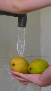 Mangoyu yıka. Suyun altında meyve yıka. El yıkama mangosu çeşme suyunun altında Kepodang tipi, sağlıklı yiyecekler için meyve hazırlama