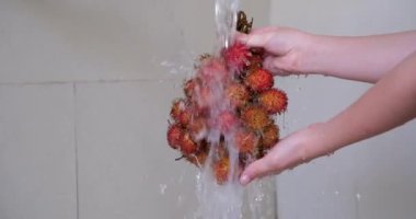 Suyun altında meyve yıka. Paslanmaz kasede seçici yumuşak odaklı rambutan lavabodaki musluktan taşan suyla yıkanmış tüketimi artırmak için su tasarrufu yapmamış. Su hareket halinde akıyor.. 