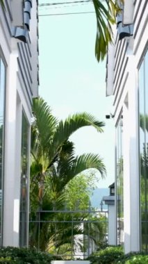 Lüks tropik otel tatil köyü. Açık hava turizmi. Yüzme havuzu, plaj sandalyeleri ve palmiye ağaçları olan lüks bir tatil köyü. Yaz adası seyahati. Cennet tatili