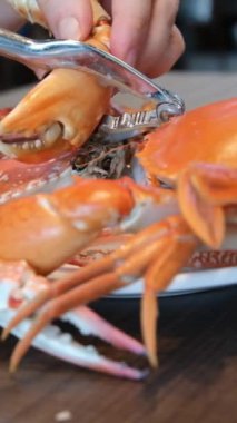 Kadın elleri pişmiş kral yengeç bacağını kesiyor. Yengeç doğrama