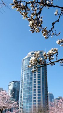 Ana cadde ile Hastings caddesindeki yaya geçidinden geçiyor. Doğu Yakası Vancouver BC 'de. Vancouver 'da ana cadde