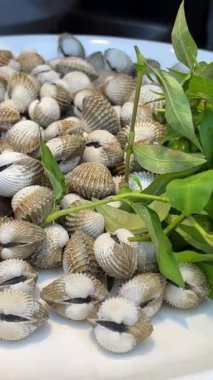 Haşlanmış istiridye. Kan midyeleri. Tegillarca granosa. Tabakta kaynamış istiridye. Yemek tarifleri, menü kitapları ya da birçok ticari kullanım için harika. kopyalama alanı ile