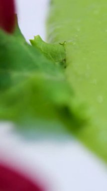 Bezelyeli somon bifteği ve tabakta beyaz salam. Masada Sağlıklı Yemek, Tam Çerçeve