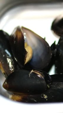 Large green mussels in shells on tray with ice. Black background. Top view. Copy space.