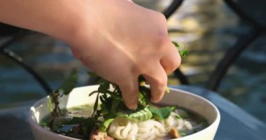 Pho Bo Vietnam çorbası ve pilav eriştesi. Vietnam yemeği tarzı.