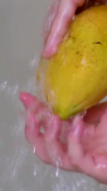 Mango, taze meyve yıkama, sebzeli yıkama. Akan suyun altında meyve yıka Mango
