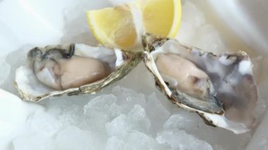 Limonlu istiridye ve ezilmiş buz. Yenilebilir çiğ deniz ürünleri, tepeden manzara