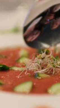 Ekmek rulosuyla karıştırılmış domates çorbası. Orta yavaş çekim seçici odak noktası. Domates çorbası