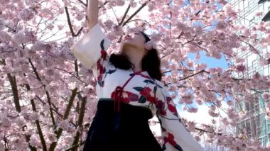Gezgin kız Sakura çiçek bahçesindeki tahta köprüde yürüyor. Bahçedeki Asyalı kız.