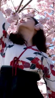 Gezgin kız Sakura çiçek bahçesindeki tahta köprüde yürüyor. Bahçedeki Asyalı kız.