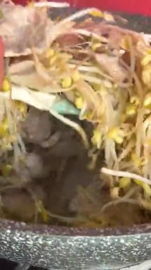 Pişirme: Kaynar fasulye tohumu. Mung fasulyesi filizlenmiş.