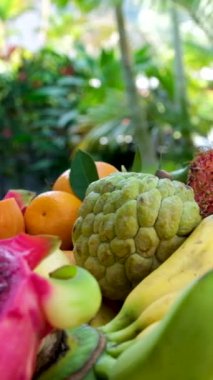 Egzotik tropikal meyveli meyve tabağı. Karpuz papaya pitahaya rambutan elma şekeri mango muzları