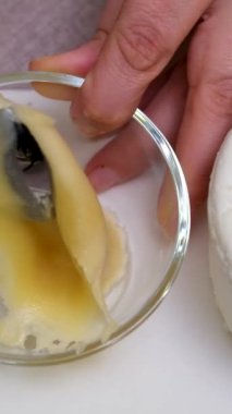 Taze ev yapımı mandıra peyniri, yakın plan beyaz ağ torbası. Taze ricotta peyniri ve ıhlamur beyazı bal.
