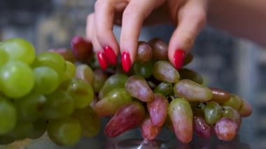 Üzüm hasadı. Erkek ve kadın elleri şarap hasat mevsiminde üzümlerden olgunlaşmış üzüm topluyor. Şarap yapımında şarap üzümlerinin toplanması. Hasat mevsimi