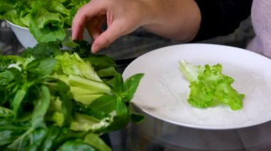 Tavuklu börek ya da pirinç kağıdında karides, tatlı ve ekşi sos, yakın plan, geleneksel Kore Çin yemeği. Yumurta ruloları aşama aşama işlem yapıyor