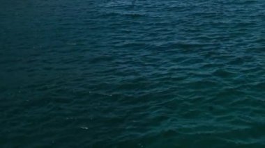 Karanlık su yüzeyinde siyah ördekler akıcı bir şekilde dalgalanır. Hipnotik tarzda mükemmel bir giriş için inanılmaz meditasyon geçmişi. Doğal desenli sıvı metal ayna..