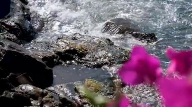 Yunanistan 'da Mykonos Bougainvillea dalgaları kıyıda kayalara çarpıyor. Şiddet, dalgalanan dalga manzarası ve zıplayan sprey sahneleri engin denizin üzerinde. Ne yazık ki dokunaklı bir manzara videosu çekildi. 