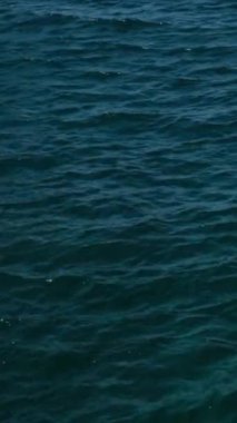 Karanlık su yüzeyinde siyah ördekler akıcı bir şekilde dalgalanır. Hipnotik tarzda mükemmel bir giriş için inanılmaz meditasyon geçmişi. Doğal desenli sıvı metal ayna..