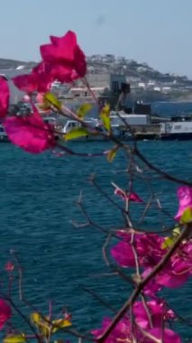 Meşhur yel değirmenleriyle Mykonos kasabası manzarası ve yaz günü tekneleri ve yolcu gemisi olan liman manzarası. Mykonos, Cyclades adaları, Yunanistan. Kamera tavasıyla