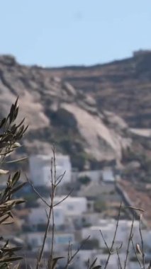 Yunanistan Mykonos Adası 'ndaki Mykonos adasındaki beyaz evler Yunanistan' ın Kiklad kentinde beyaz ve mavi evleri bulunan Mykonos adası sokak manzaralı