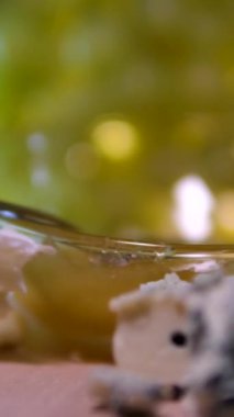 Peynirli beyaz şarap yeşil üzümlü peynir ve bal kameralı siyah arka plan yavaşça hareket ediyor. Dorblu peyniri