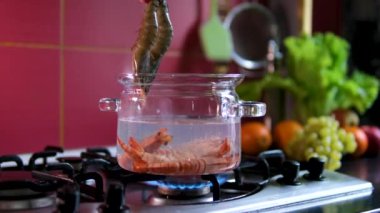 Lezzetli kaplan büyük karidesi deniz ürünleri yemeği için kaynar suya atılmış. Yumuşakça pişiriyorum. Ağır çekim. Büyük karidesleri kaynatın