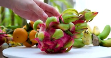 Ejderha meyvesi çiftçinin kadın ellerinde..