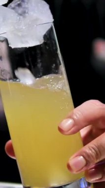 Barmen cam kapaklarına buz parçaları dolduruyor. Siyah barmen ferahlatıcı kokteyl için buz küpleri hazırlar. Bardaki ziyaretçiler için taze içecekler. alkollü içecek