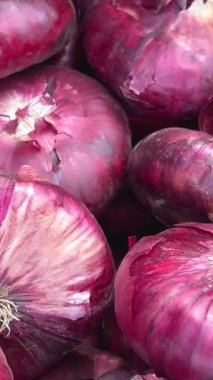 Dönen kırmızı soğan. Soğan yığını kapanıyor. Dikey 4k video