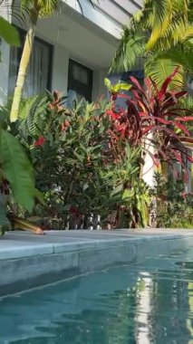 Berrak havuz kenarı, beyaz güneş pansiyonları ve yemyeşil yemyeşil verimli sakin ve davetkar bir tatil atmosferi yaratan lüks bir tropikal tatil beldesi.