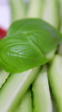Renkli sebzeler rotasyonu. Domates, dolma biber, havuç, salatalık, patates, soğan, salata ve fesleğen, sebze arkaplanı..